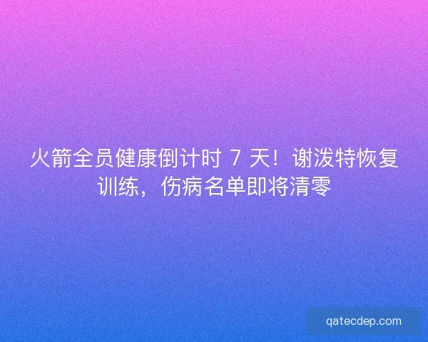 火箭全员健康倒计时 7 天！谢泼特恢复训练，伤病名单即将清零